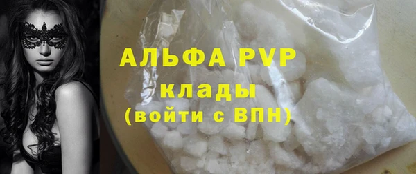 PSILOCYBIN Горняк