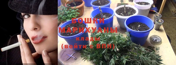 Альфа ПВП Гусев